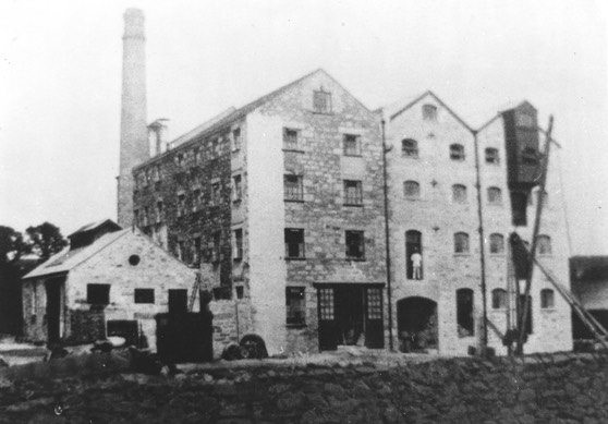 Bodilly mill scan